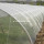 Agrarisch Mesh Net-HDPE Anti-insectendoek